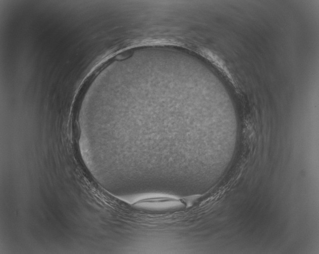 X0000082991173200702230052