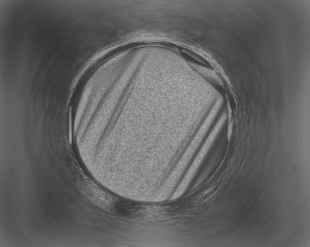 X0000082991175200702230052