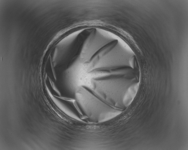 X0000082991176200702230052