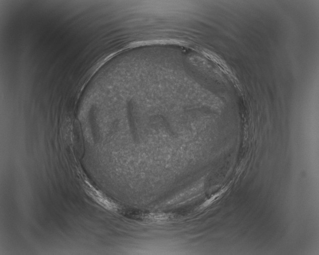 X0000082991177200702230052