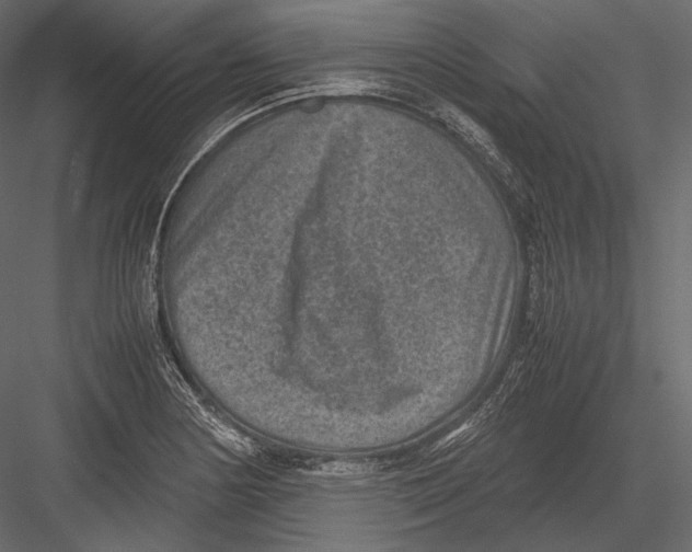 X0000082991178200702230052