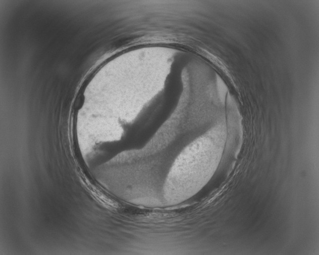 X0000082991179200702230052