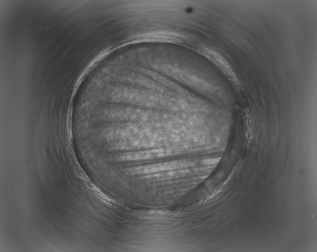 X0000082991180200702230052