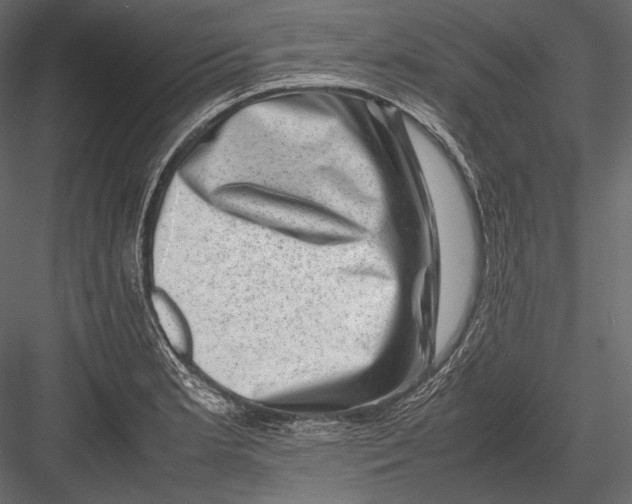 X0000082991181200702230052