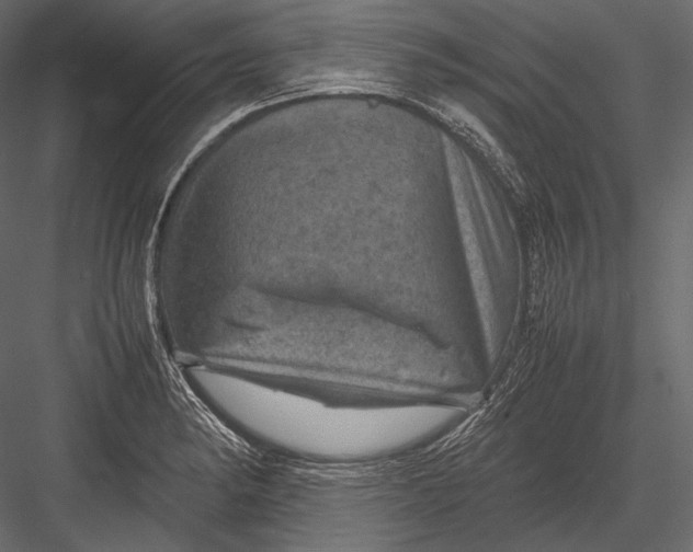 X0000082991182200702230052