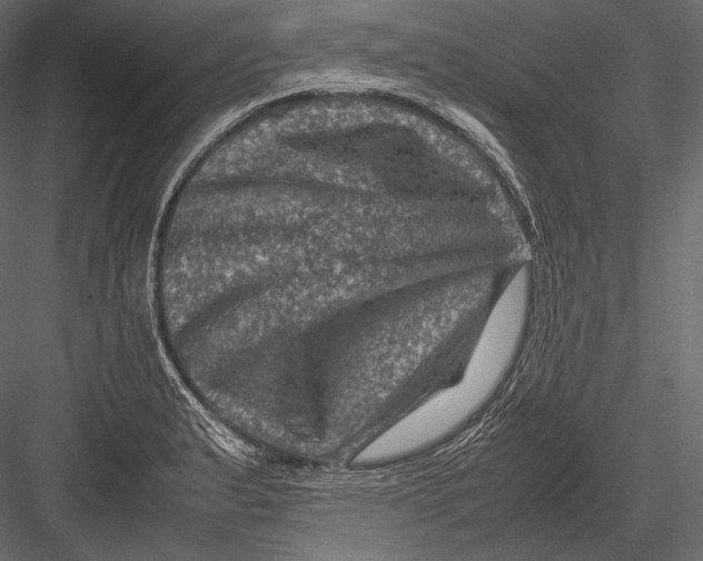 X0000082991183200702230052