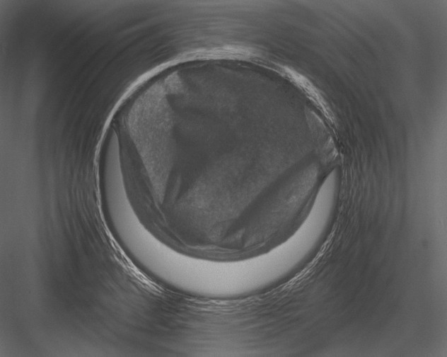 X0000082991184200702230052