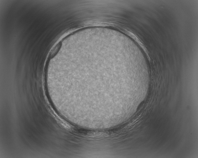 X0000082991187200702230052