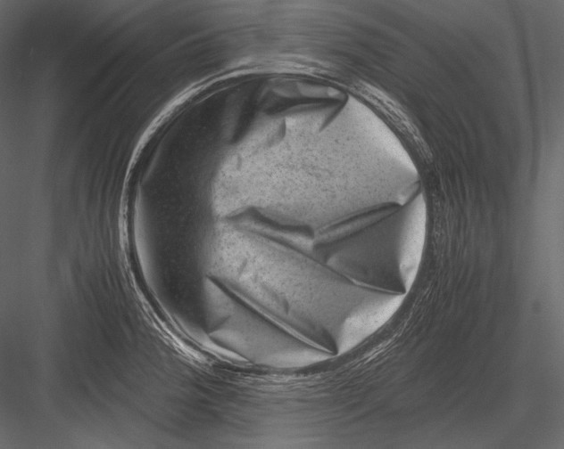 X0000082991188200702230052