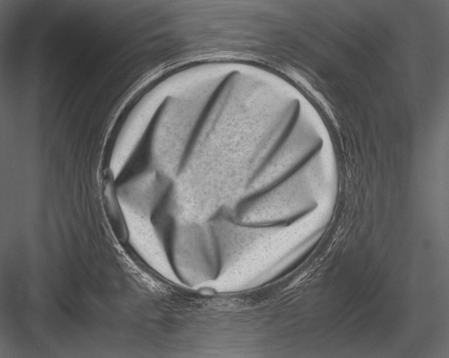 X0000082991189200702230052