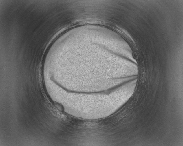 X0000082991190200702230052