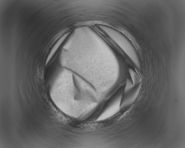 X0000082991193200702230052