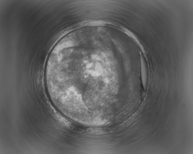 X0000082991194200702230052