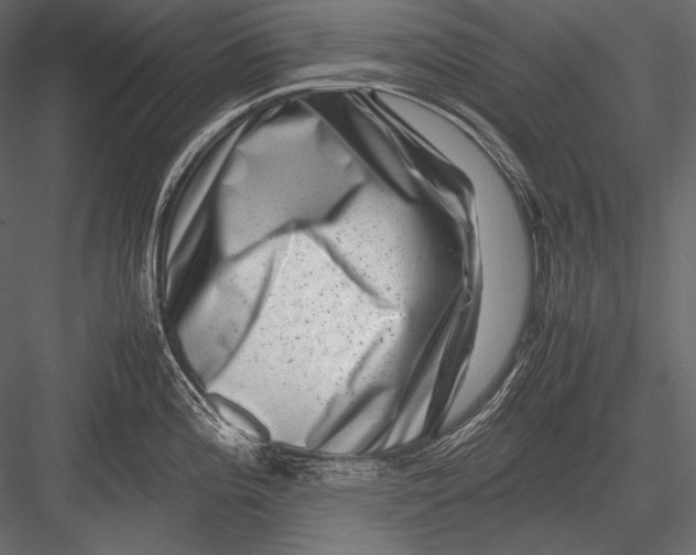 X0000082991196200702230052