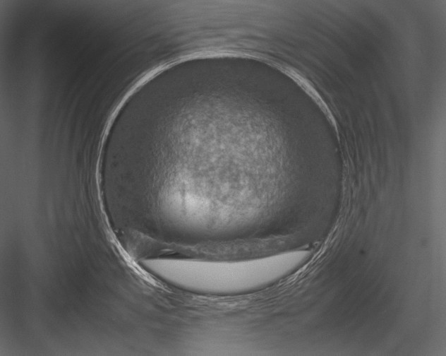 X0000082991197200702230052