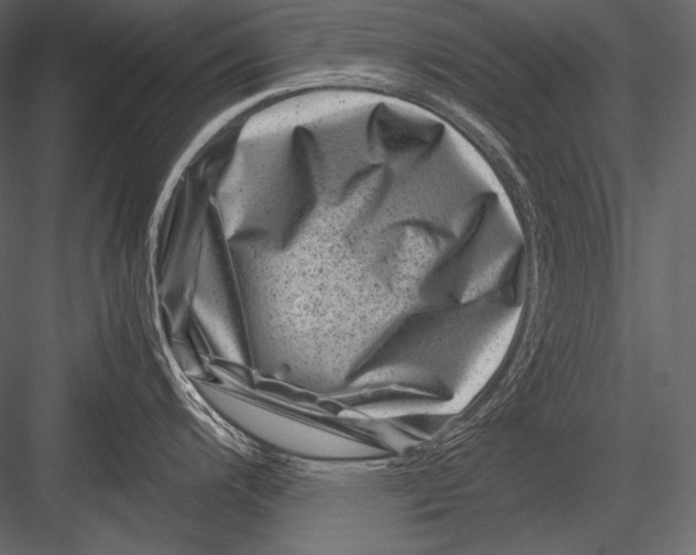 X0000082991200200702230052