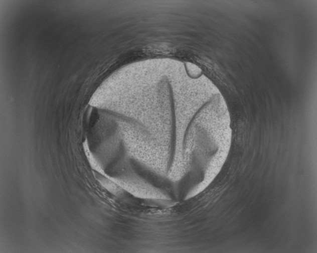 X0000082991201200702230051