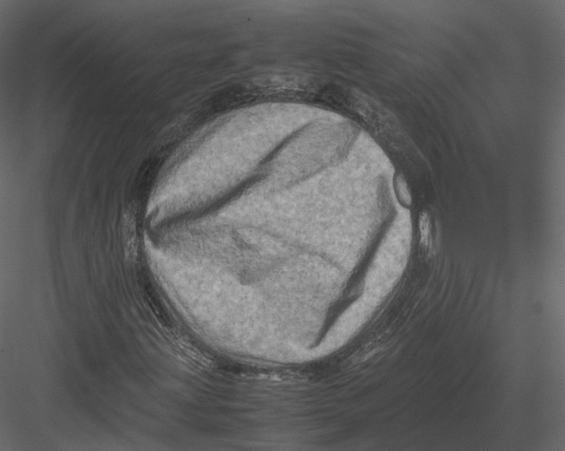 X0000082991203200702230051