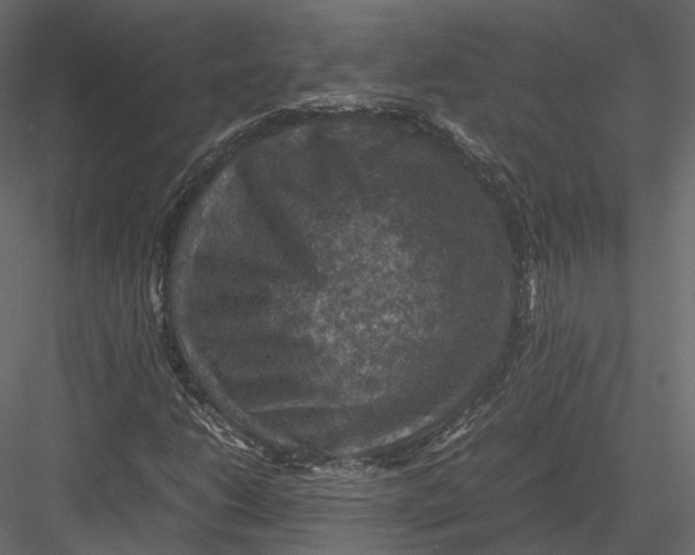 X0000082991206200702230051