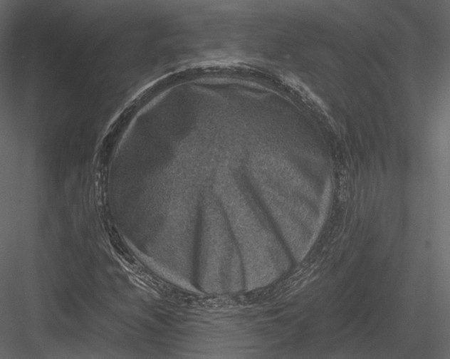 X0000082991208200702230051