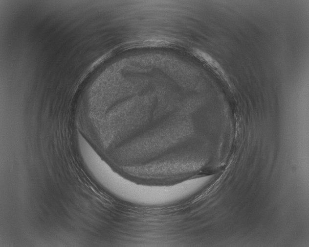 X0000082991210200702230051