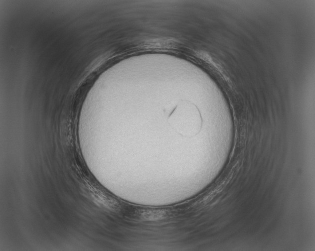 X0000082991211200702230051