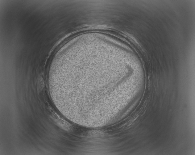 X0000082991212200702230051