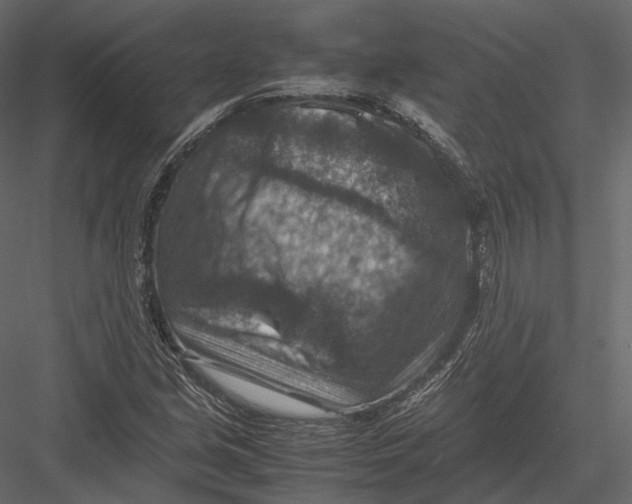 X0000082991213200702230051