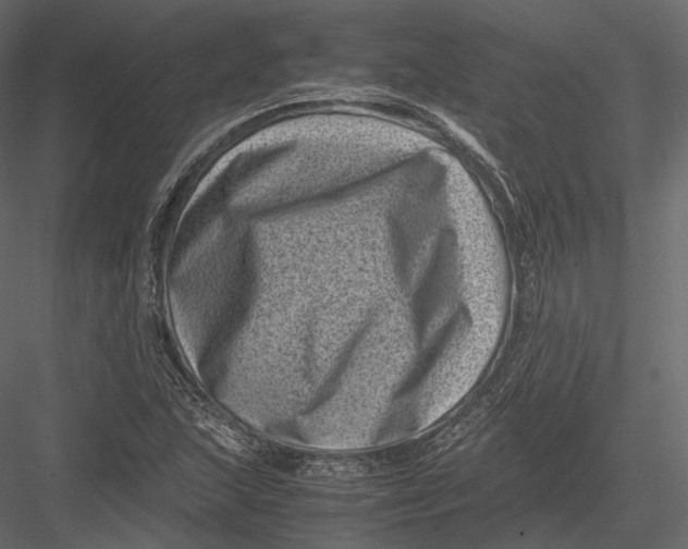 X0000082991215200702230051