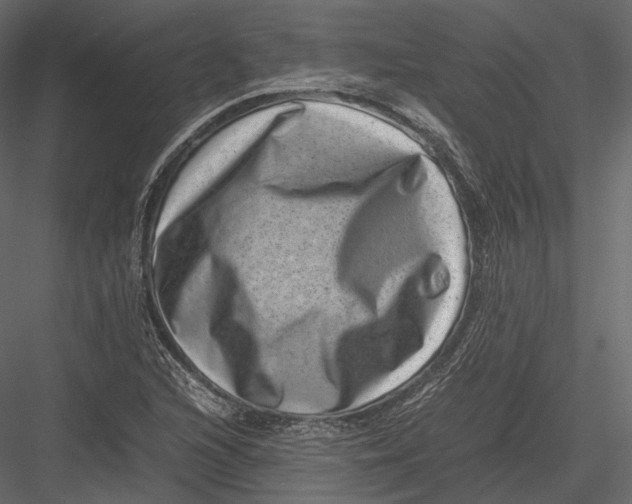 X0000082991216200702230051