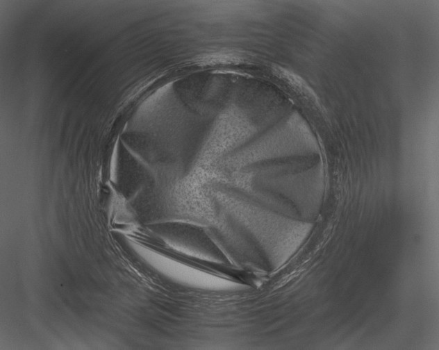 X0000082991217200702230051