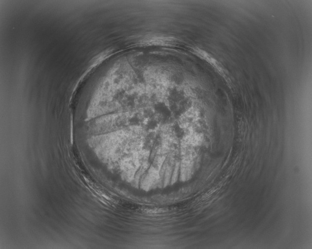 X0000082991219200702230051