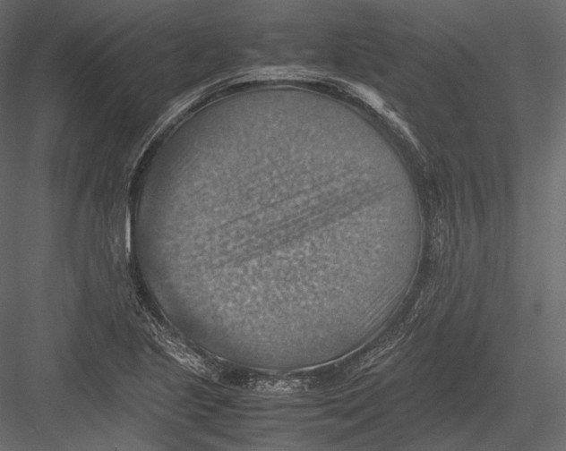 X0000082991221200702230051