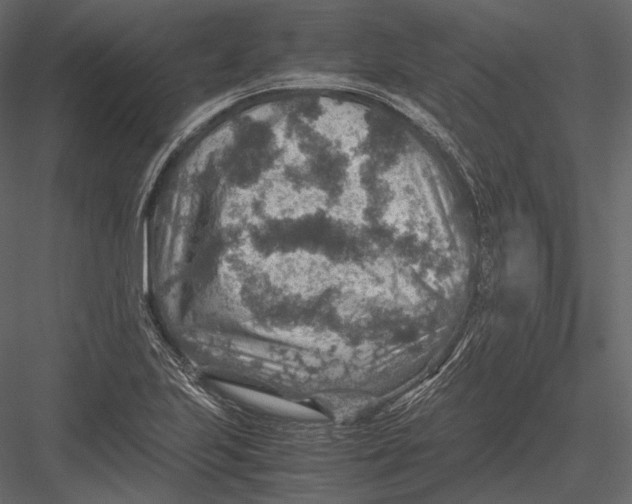 X0000082991223200702230051