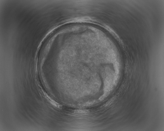 X0000082991224200702230051