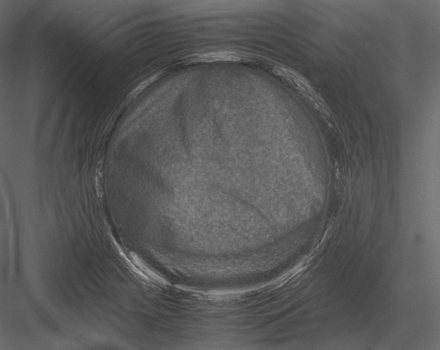 X0000082991225200702230051