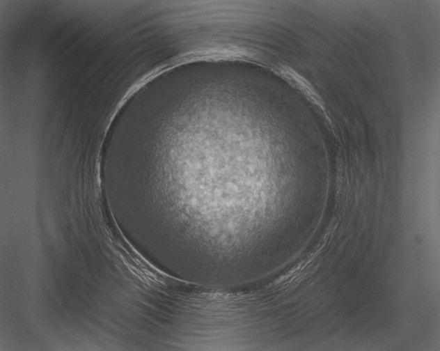 X0000082991226200702230051