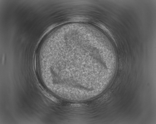 X0000082991227200702230051