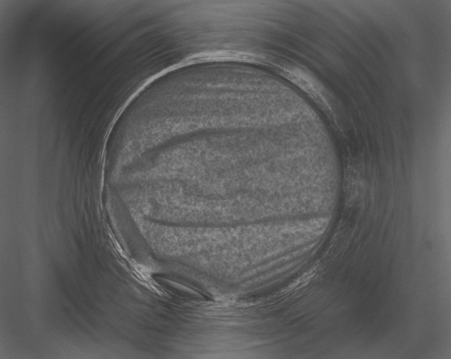 X0000082991228200702230051