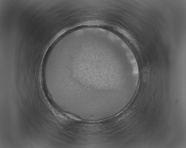 X0000082991229200702230051