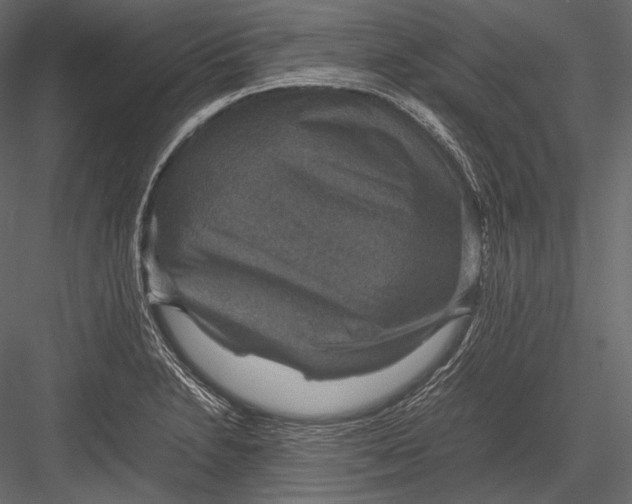 X0000082991230200702230051