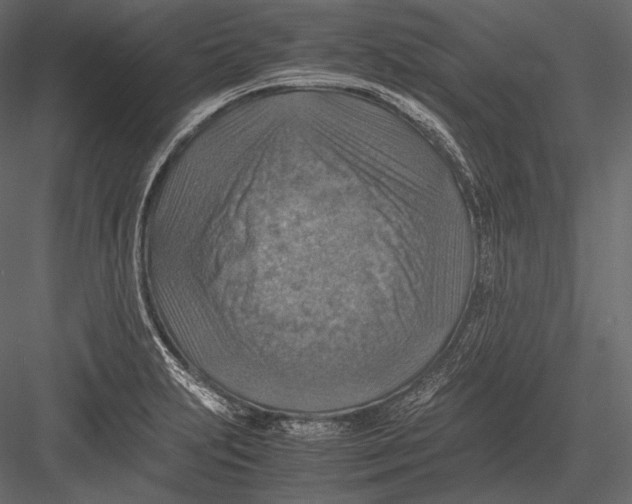 X0000082991231200702230051