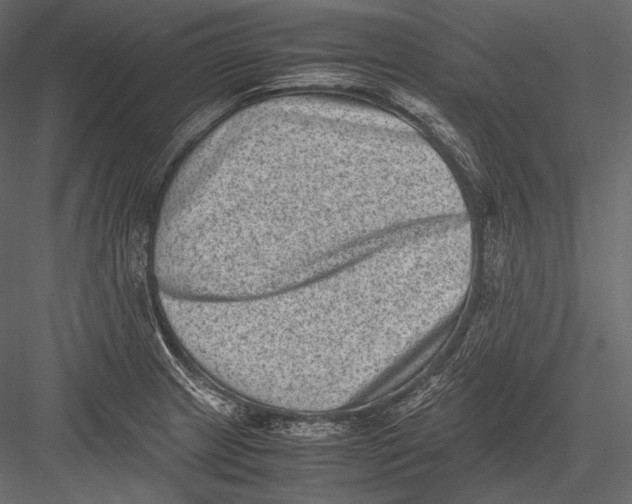 X0000082991233200702230051