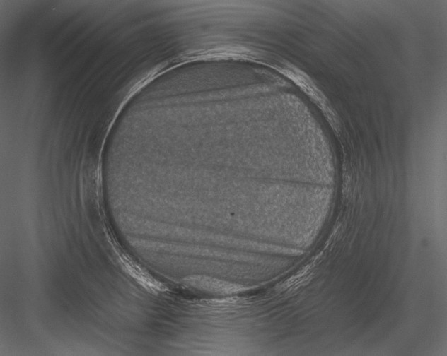 X0000082991234200702230051