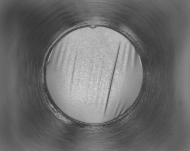 X0000082991236200702230051