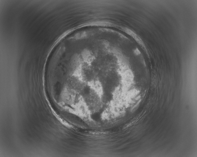 X0000082991237200702230051