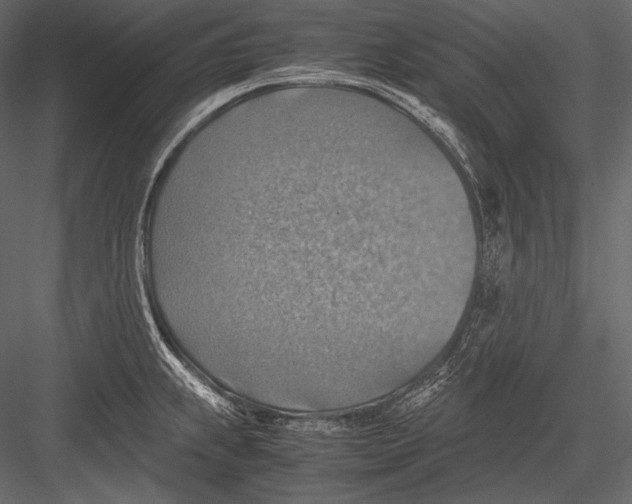 X0000082991239200702230051