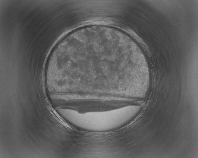 X0000082991240200702230051