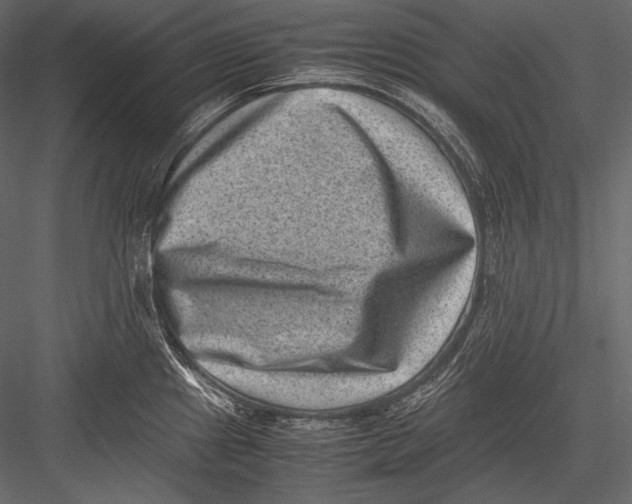 X0000082991241200702230051