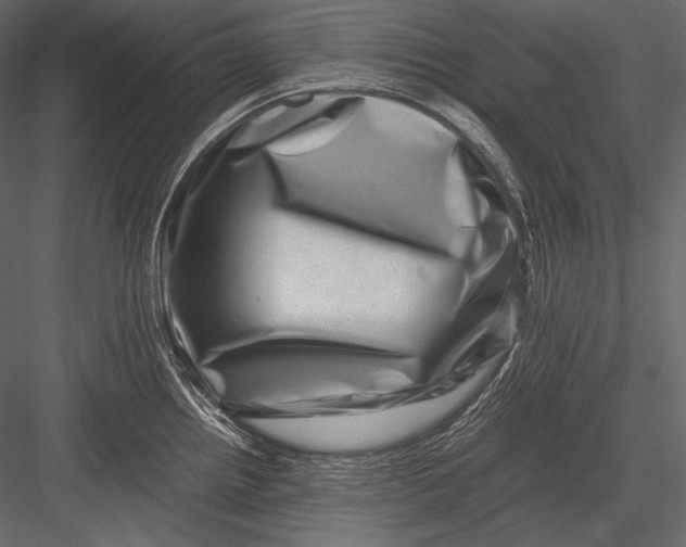 X0000082991242200702230051